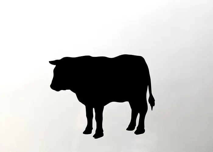 Alojamento de Acomodação e Pequeno-almoço Antiga Casa Do Boi 3*